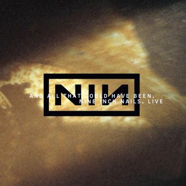 Nine Inch Nails -  And All That Could Have Been